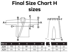 Load image into Gallery viewer, SteamPunk Emerald Green Gi