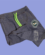 Load image into Gallery viewer, Turtle Series Joggers