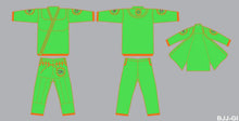 Load image into Gallery viewer, Green Turtle Gi - Ninja Series

